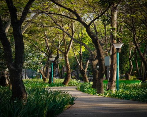 Parque urbano ideal para caminatas suaves durante el fin de semana